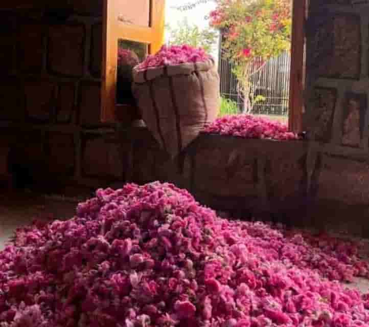 تصویر 2 از گلاب کاشان با عطر ماندگار